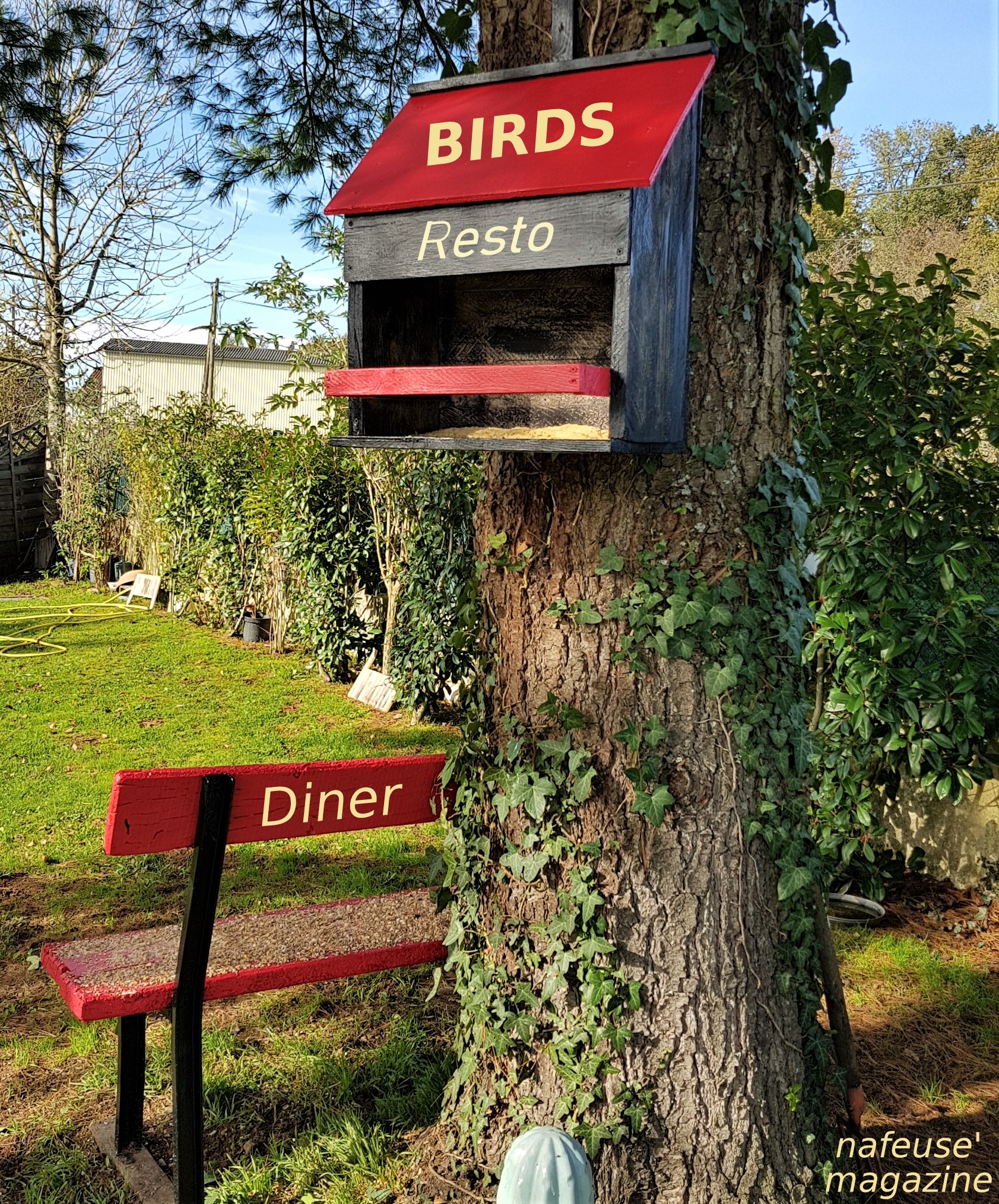 Mangeoire pour nourrir les oiseaux