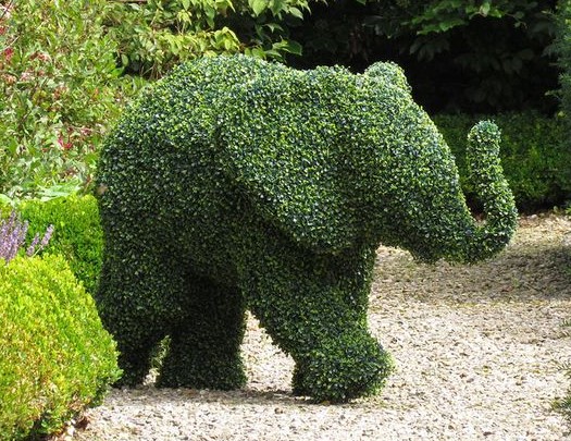 Superbes Sculptures végétales éléphants