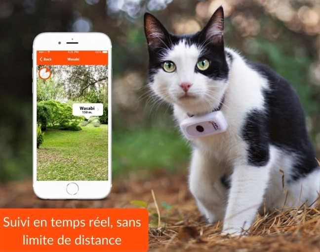 Comment fonctionne le traceur GPS pour chat ?