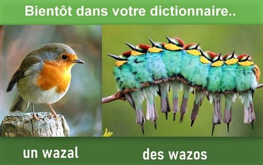 Humour Photos montages animaux