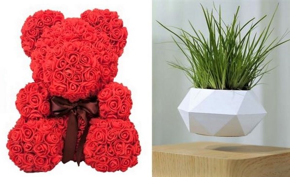 Idées cadeau : Ours roses rouge et plante en lévitation
