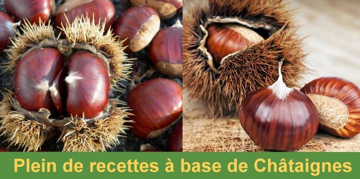 Plein de recettes à base de châtaignes