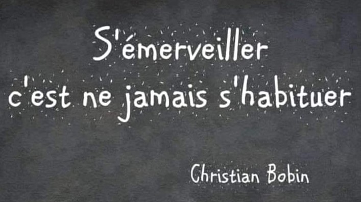 Citations de Christian Bobin