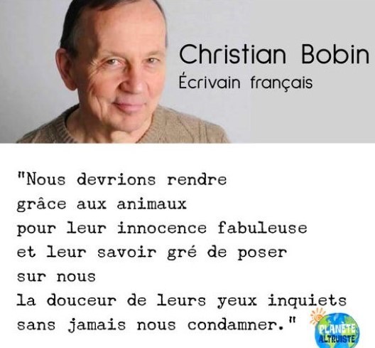 Citations de Christian Bobin