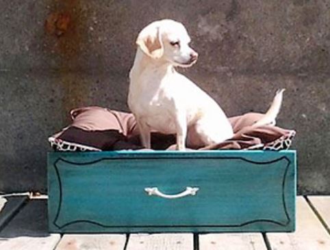 Idées et astuces recyclages tiroirs