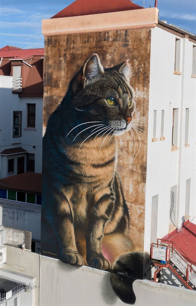 Street Art fresques peintures chats