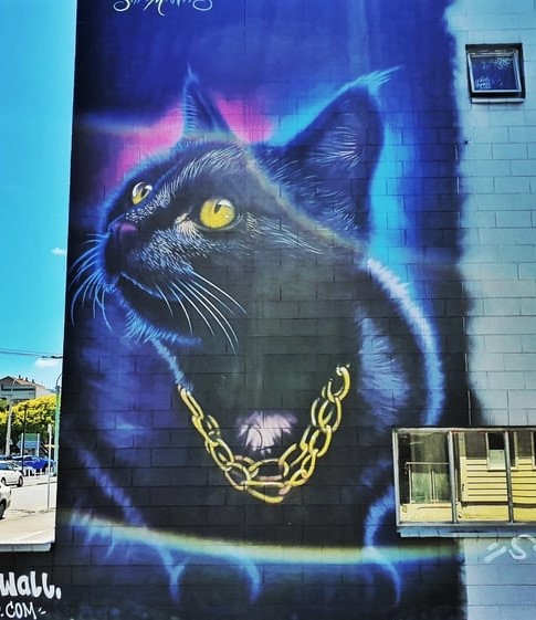 Street Art fresques peintures chats