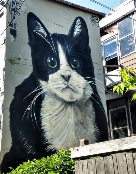 Street Art fresques peintures chats