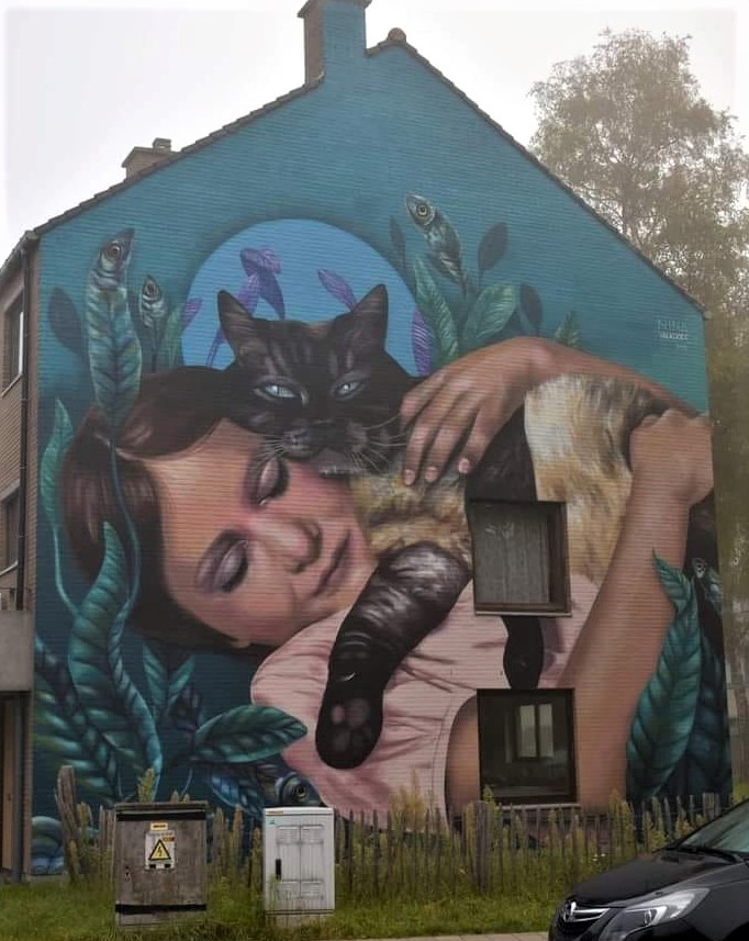 Street Art fresques peintures chats