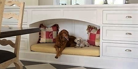 Idées pour faire niche, couchette et panière d'intérieur pour chien ou chat