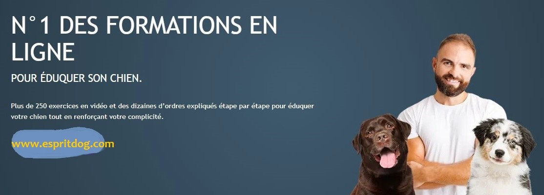 Faites de votre passion pour les animaux un métier