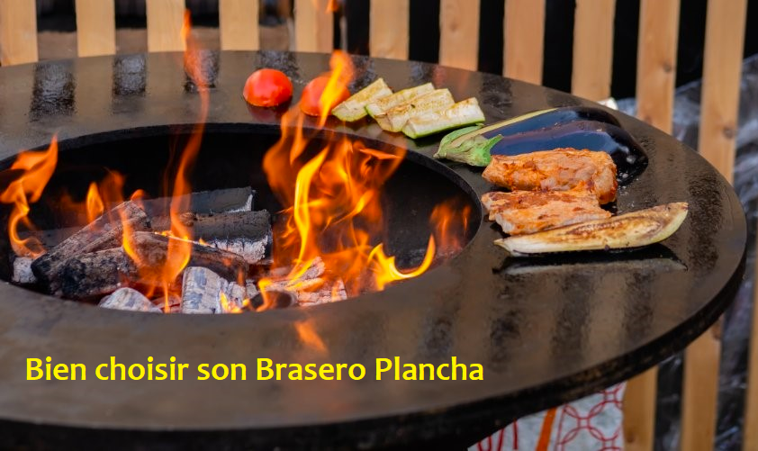 Les critères de choix d’un brasero plancha