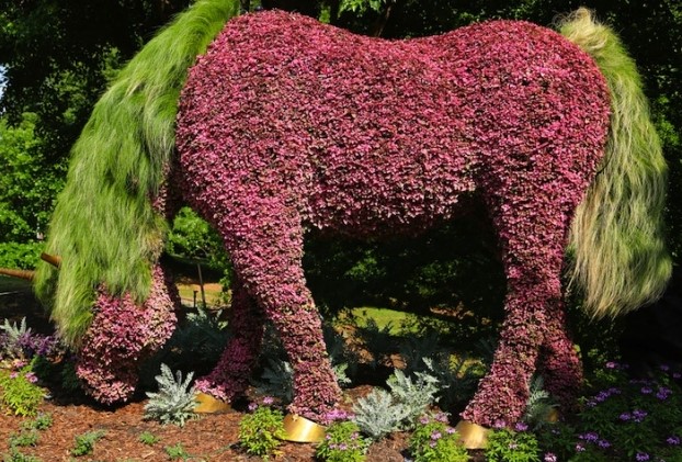 Au jardin on s'amuse à sculpter les végétaux