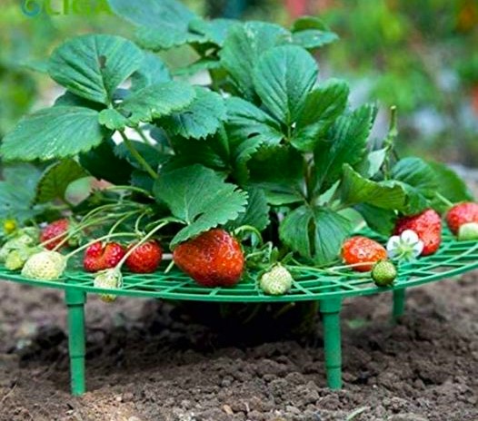 16 astuces pratiques et économiques pour vous faciliter la vie au jardin.. 16 astuces pratiques et économiques pour vous faciliter la vie au jardin..