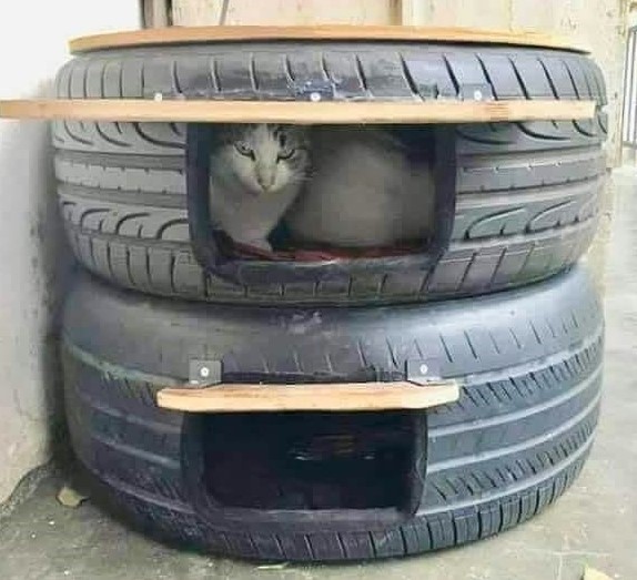 Faire un abri pour chat pour l'hiver