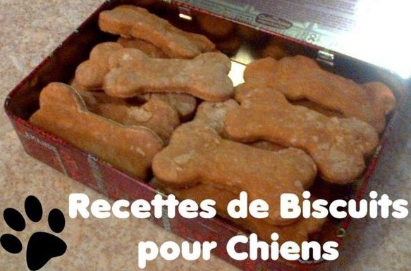 Recettes de biscuits pour chiens