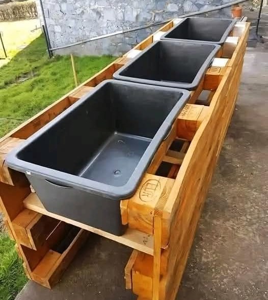 6 astuces pratiques pour le jardin