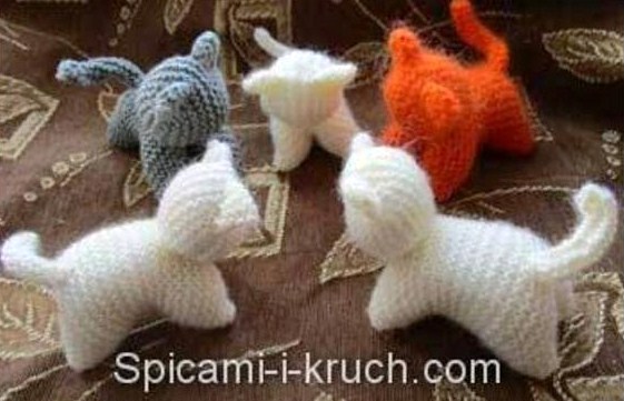 chat en laine tricot