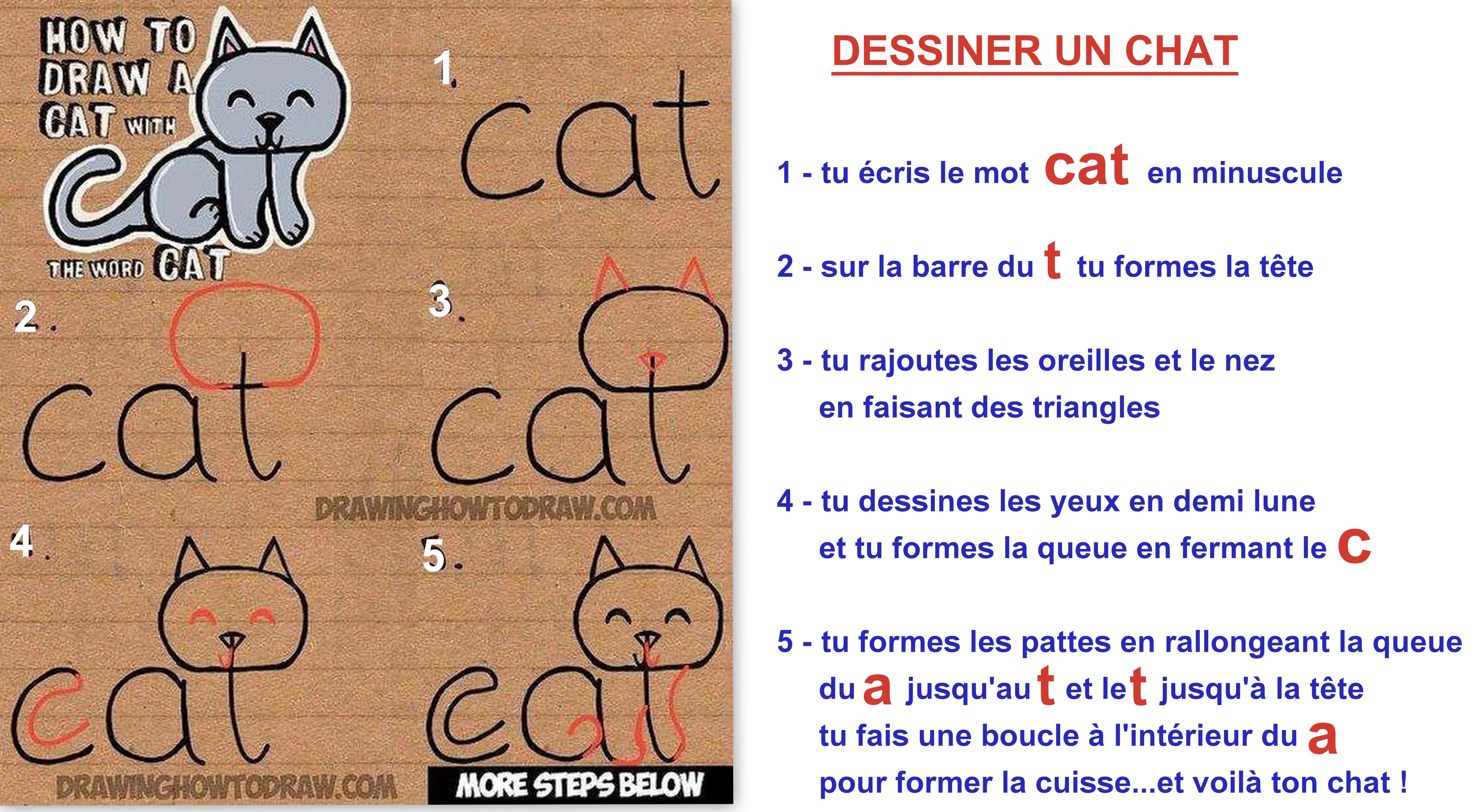 Tutoriels dessiner un chat