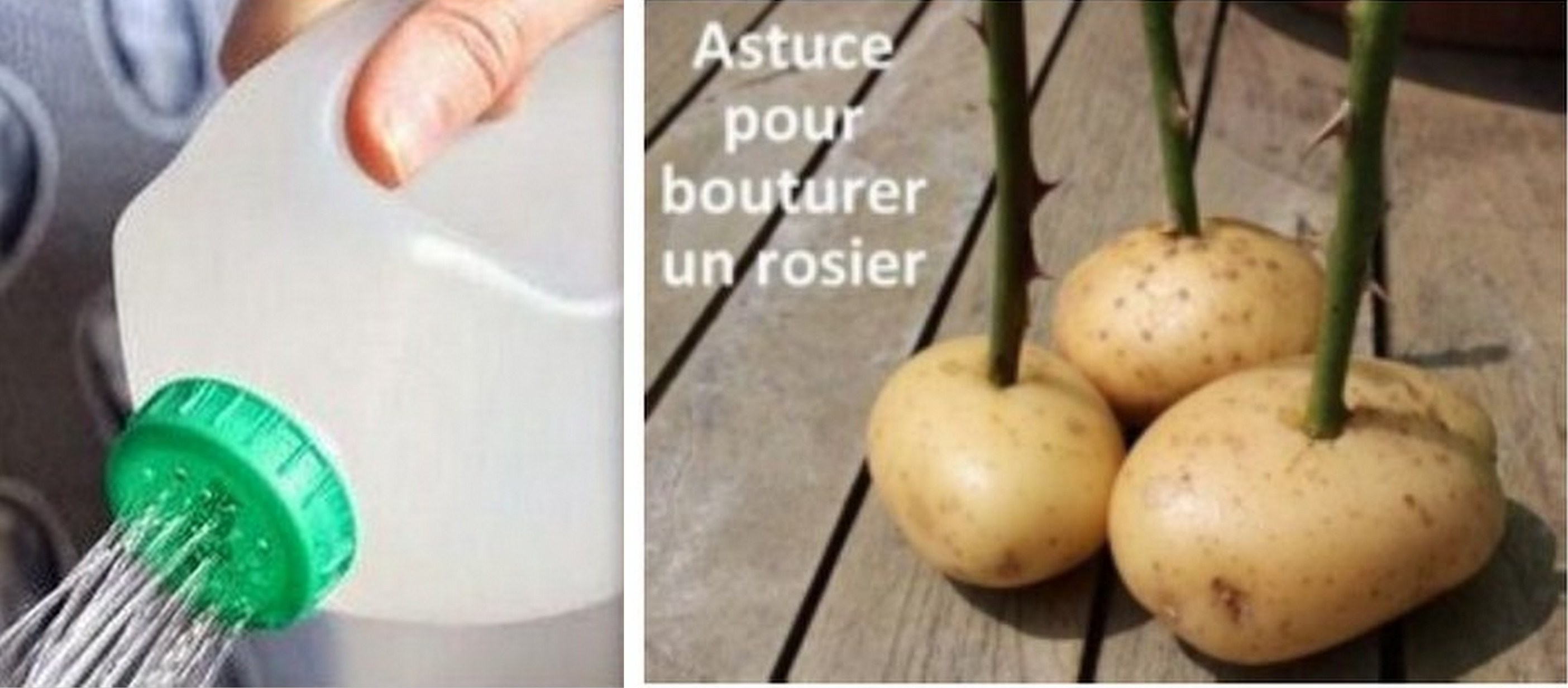 Astuces originales et insolites