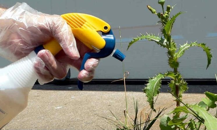 Faire Son Desherbant Naturel Pour Le Jardin