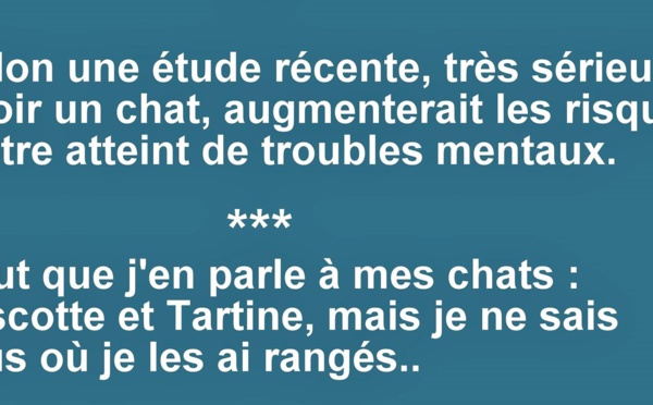 Humour Images Droles Photos Droles Insolite Nafeuse Magazine Humour Images Droles Photos Droles Insolite Nafeuse Magazine