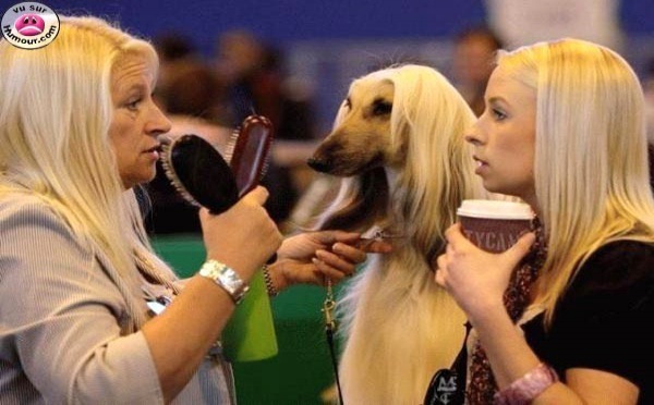 Humour Images Droles Photos Droles Insolite Nafeuse Magazine Humour Images Droles Photos Droles Insolite Nafeuse Magazine