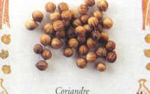 10 épices à connaitre et à consommer !