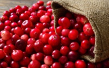 Des cranberries pour lutter contre les cystites