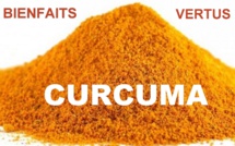 Le Curcuma : antioxydant, anti-inflammatoire, anti-tumoral.