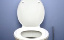 J'adore mes WC, je les bichonne !