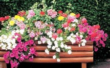 De jolies jardinières pour décorer vos jardins