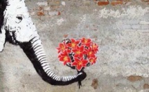 Street Art, l'art d'embellir la rue