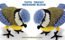 Tutoriel tricot mésange bleue