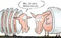 Dessins humoristiques Impôts et taxes !