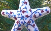 Comment faire une étoile de Noël !