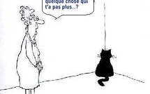 Dessins humoristiques "les chats"..!