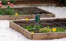 Faire son jardin ou son potager en carrés, les tutos !