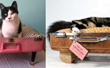Comment recycler ses vieilles valises