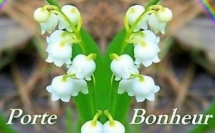 Quelques brins de muguet porte-bonheur