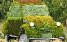 Insolite : les voitures recyclées en jardinières !