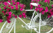 Les vélos fleuris au jardin !