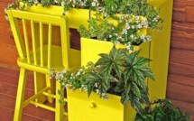 Recyclez vos vieux meubles au jardin