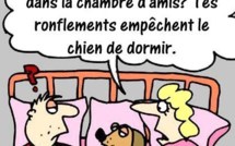 Dessins drôles : les couples au lit