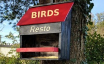 Mangeoire pour nourrir les oiseaux