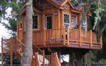 Belles Maisons en bois dans les arbres