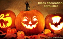 Idées décorations citrouilles Halloween