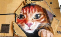 Street Art fresques peintures chats