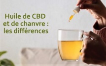 Huiles de CBD et de chanvre : les différences