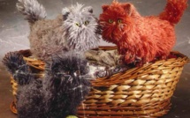 Des tutos et des modèles animaux au crochet